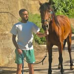 Mohamad Saab - @mohmad.k.saab - Instagram