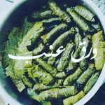 mohmad - @mohamad.tabaja800 - Instagram