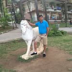 @tabaja.mohamad - Instagram