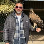 Mohamed Afify - @mohamedafify52 - Instagram