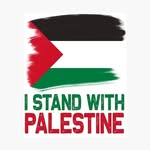 Mohamed Ameen - @mohamed___ameen - Instagram