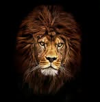 Mohamed Anwar - Facebook