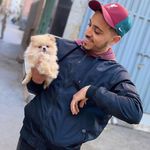 Mohamed Chergui - @mohamed_chergui02 - Instagram