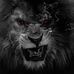 Mohamed Chergui - Facebook