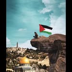 mohamed ELDAWY - @mohamed_eldawy0 - Instagram