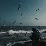Eshraq Mohamed - Facebook