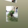 Mohamed Ghaleb - @mohamedeltantawi6 - TikTok