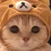 user8565879249947 - @mohamedhack10874 - TikTok