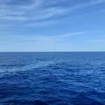Mohamed Mammad - @mohamed.mammad - Instagram