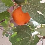Môhameđ Śøu Lîtâŕ - @mohamedmammadi20 - Instagram