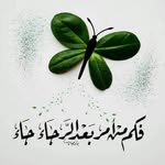 Mohamed Melad - @mohamedmelad.01 - Instagram