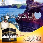 Mohamed Owis - @ewis.mohamed - Instagram