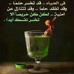 Mohamed Shallan - @shallanmohamed - Instagram