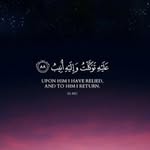 Mohamed - @mohamedsiddique112 - Instagram