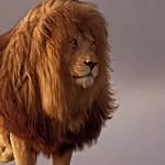 Mohamed Siddique - @mohd___siddique__ - Instagram