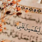 Mohamed Tabib - Facebook