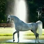 Mohamed Tabib - @mohamed.tabib.33483 - Instagram