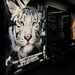 Mohamed Tabib - @xtabibx - Instagram