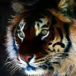 mohammad abu lail - @mohammad_abu_lail - Instagram