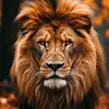 Mohammad alkurdi1 - @mohammad.alkurdi14 - TikTok