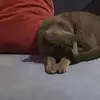 Mohammad - @mohammad.alomari - TikTok