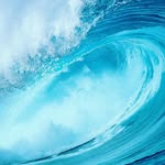 mohammad altawil - @mohammad_altawil79 - Instagram