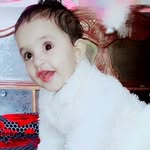 Mohammad Amil - @mohammad.amil.121 - Instagram