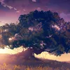 DiaNg_SkA69 - @mohammad_aqil_qayyum - TikTok