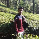 Mohammad Ashkar - @mohammadashkar786 - Instagram