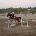 Mohammad Ashkar - @mohammad_ashkar27 - Instagram