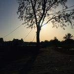 Mohammad Bukhari - @naturephotographybymohammad - Instagram