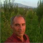 mohammad ehsani - @ehsani9804 - Instagram