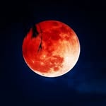 MOHAMMAD * HAMMOUDEH - @4vam8 - Instagram