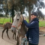 Mohammad Hammoudeh - @moha_mmadhammoudeh - Instagram