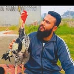 Mohammad Haroon - @haro.on221 - Instagram