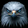 Mohammad Haroon - @mohammad.haroon512 - TikTok