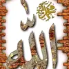 Mohammadharoon - @mohammadharoon305 - TikTok