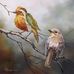 Mohammad Hasham Ezam - Facebook