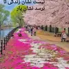 Mohammad Hashemi - @mohammadhashemi274 - TikTok