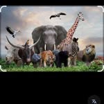 Mohammad Hayat - @mohammad_hayat_56 - Instagram