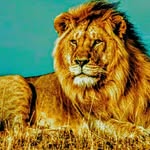 @mohamad.jaffari. - @mohammad.jaffari5140 - Instagram