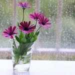 Mohammad Jaffariپ - @mohammad_jaffari12 - Instagram