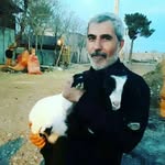 mohammadJAFFARI - @mohammadjaffari - Instagram