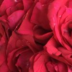 Mohammad Lodhi - @lodhi.mohammad - Instagram