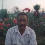 Ali Mohammad Lone - Facebook