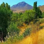 Mohammad Maleki - @mohammad.maleki41148 - Instagram