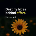 Mohammad Murtaza - Facebook