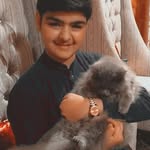 Mohammad Murtaza Mustafa - @muhammadmurtazamustaf - Instagram