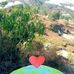 Mohammad Qamar - Facebook