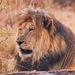 Rameez Bhat - @mohammad_rameez_bhat - Instagram